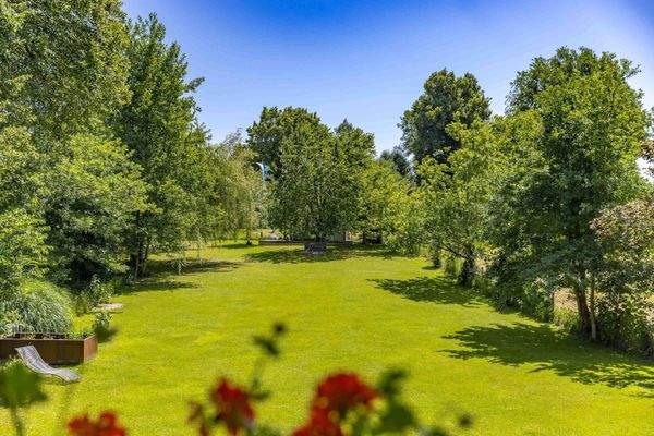 Blick in den Garten/ WHG. DG