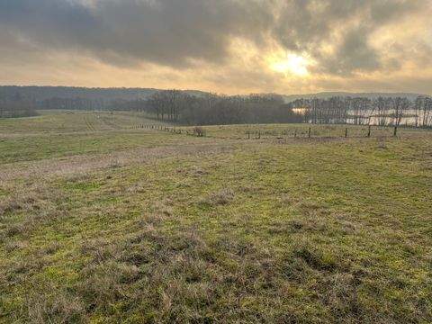 Mustin Bauernhöfe, Landwirtschaft, Mustin Forstwirtschaft