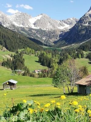 Bild 14