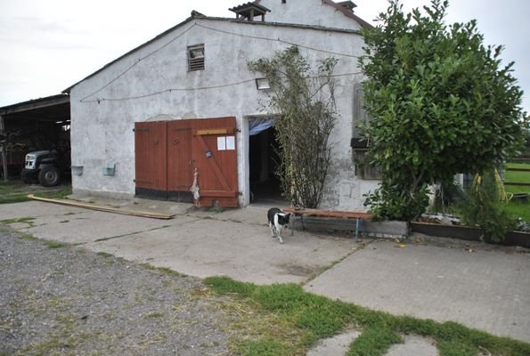 Bild 7