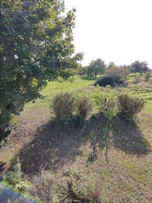 Balkonausblick im DG zum Feld