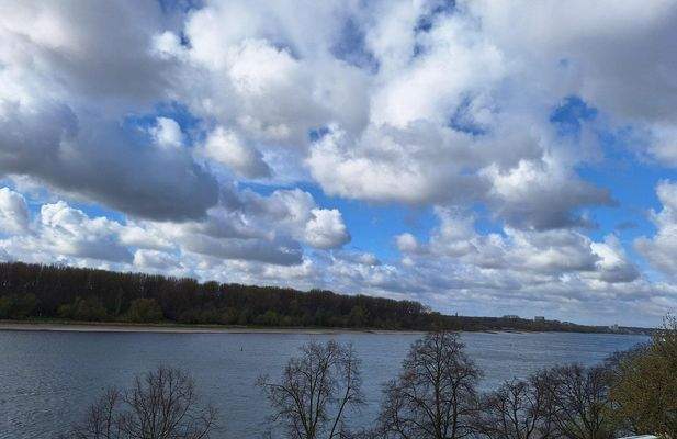 Rheinblick DG rheinabwärts