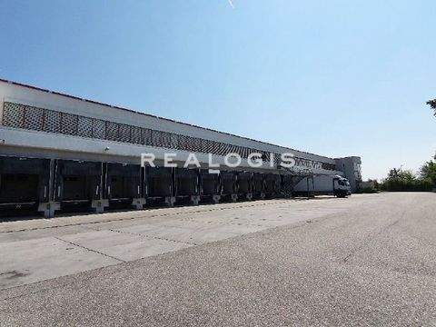 Wörrstadt Halle, Wörrstadt Hallenfläche