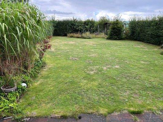 239ac62b-7950-498d-8297-d6211404949b.jfif