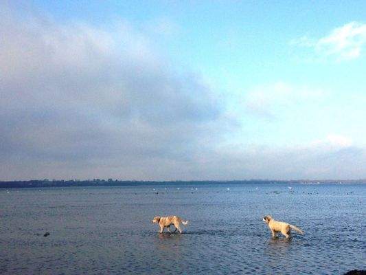 Unvergessliche Spaziergänge