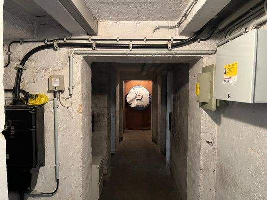 PHOTO-2025-03-19-11-54-22 13.jpg