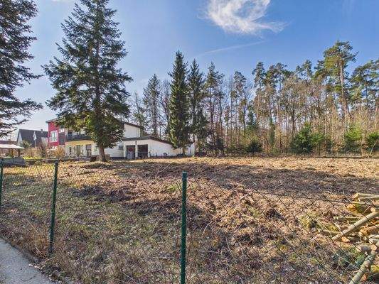 Ansicht Grundstück mit Blick auf Naturschutzgebiet!