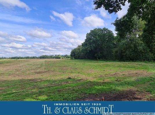 Ansicht des Baugrundstückes