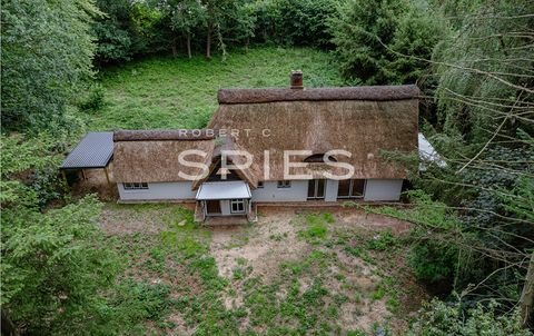 Sülfeld Häuser, Sülfeld Haus kaufen