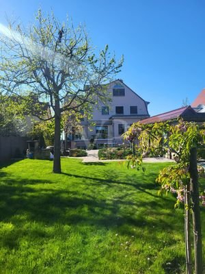 Blick in den Garten