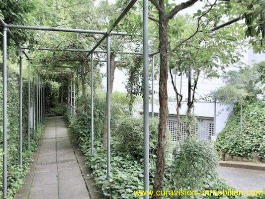 01-Weg zum Haus - TG-Einfahrt.jpg