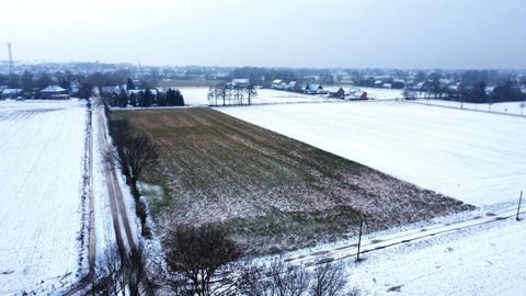 Stemshorn Bauernhöfe, Landwirtschaft, Stemshorn Forstwirtschaft