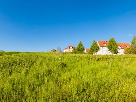 Wald Grundstücke, Wald Grundstück kaufen