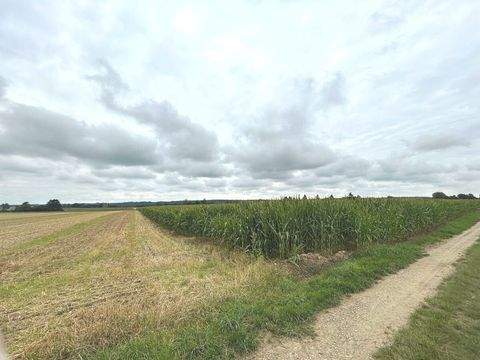 Kettershausen-Zaiertshofen Bauernhöfe, Landwirtschaft, Kettershausen-Zaiertshofen Forstwirtschaft