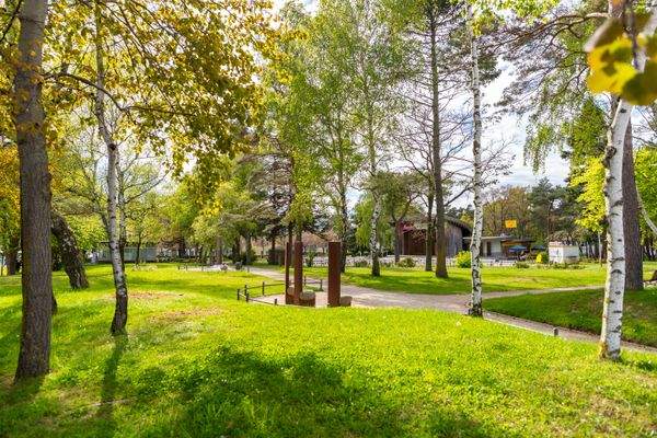 Die schöne Kurbühne