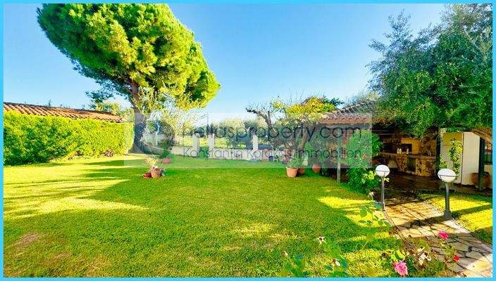 31593b6b0ac3495983d20e79b9b2962f-original