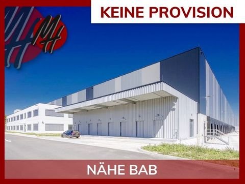 Walluf Halle, Walluf Hallenfläche