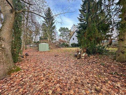 BLICK VON DER EINFAHRT AUF DAS GRUNDSTÜCK