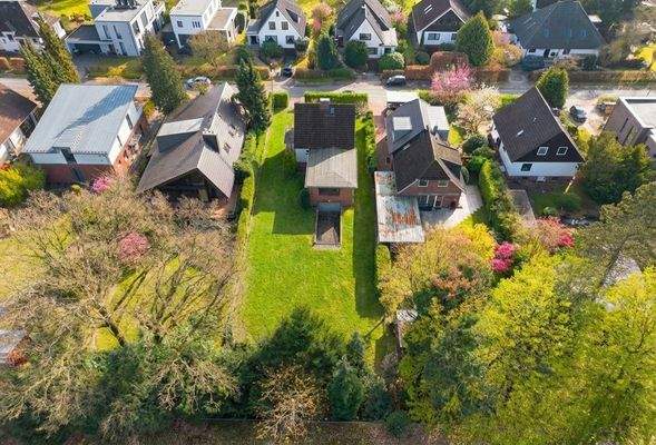 Auch von oben schön. Frühling-KI