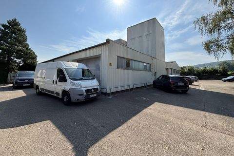 Ehingen Halle, Ehingen Hallenfläche