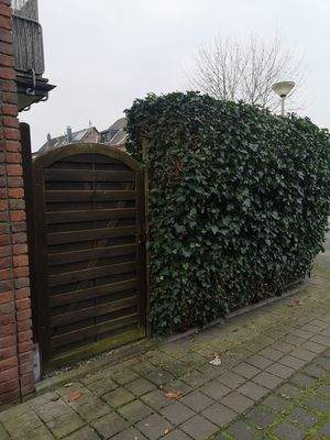 Direkt zum Garten.jpg