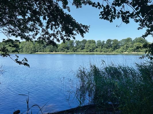 Blick auf den Warder See