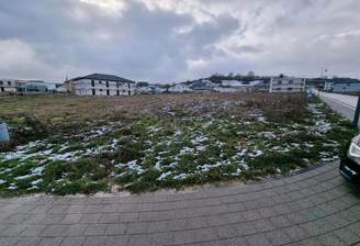 8289098d-cd70-41b1-894e-abbbf2916c3f