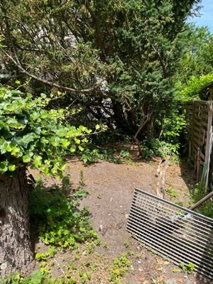 Garten hinter dem Haus