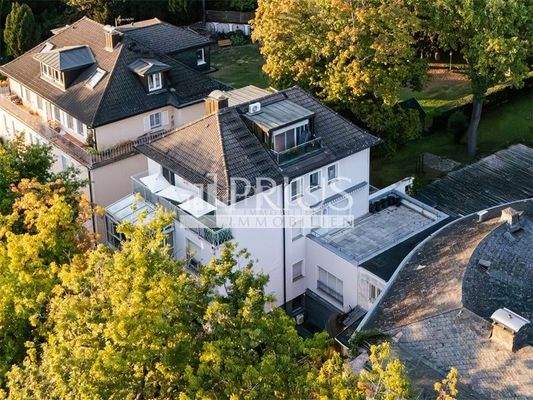 Immobilien_Prius_Drohne_Horizo