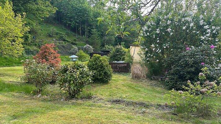 Impressionen Garten 3