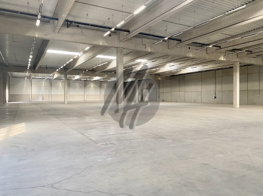 INFOS UNTER: 06171-586000