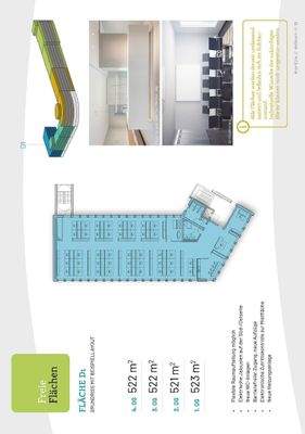 Grundriss Flächen D1