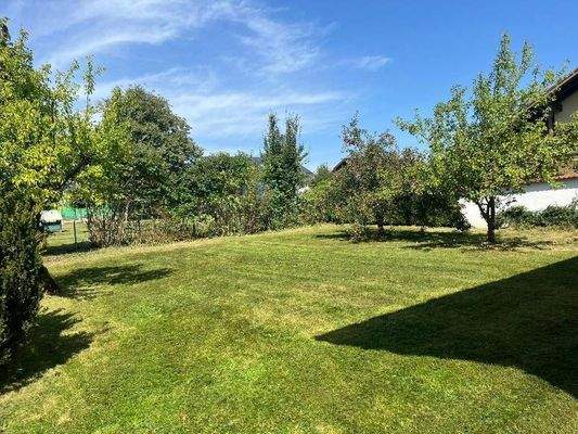 Garten hinter dem Haus