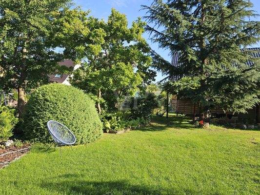 Sommerimpression Garten