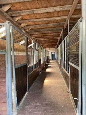 Pferdeboxen linke Seite