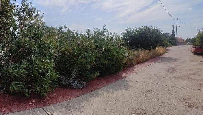 Kreta, Agia Paraskevi: Grundstück im Süden zum Verkauf