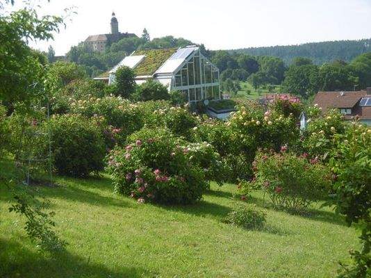 Sommer im Rosengarten