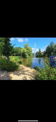 WhatsApp Image 2025-08-05 at 11.40.49