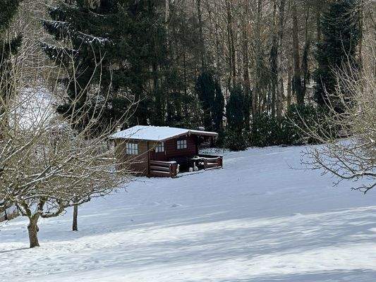 Blick auf den Garten 