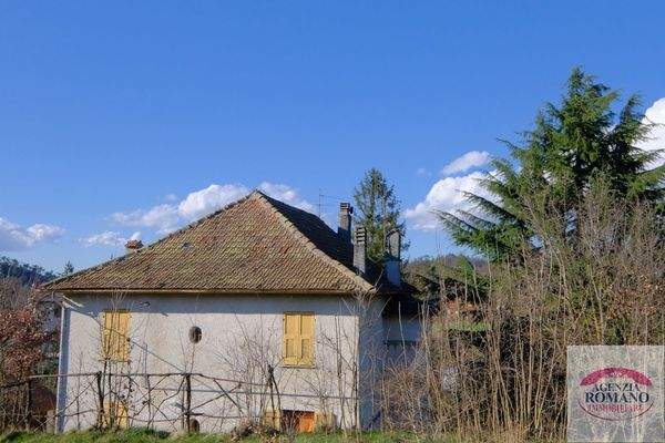 rif 1480(Copy31).jpg