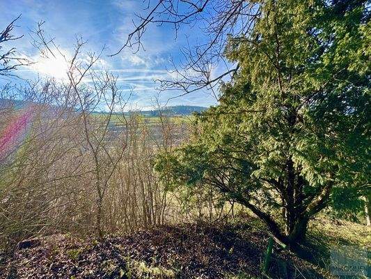Natur pur im großzügigen Garten