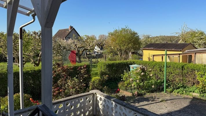 Blick ins Grüne