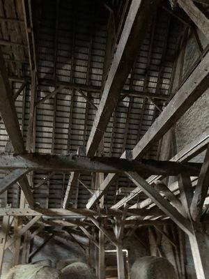 IMG_7532