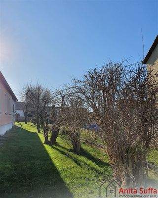 Garten hinter dem Haus
