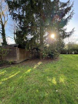 extra Garten Holzstand