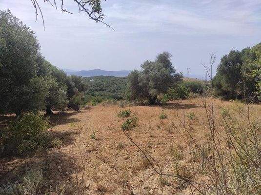 Kreta, Karoti: Grundstück mit Baugenehmigung und atemberaubendem Bergblick zu verkaufen