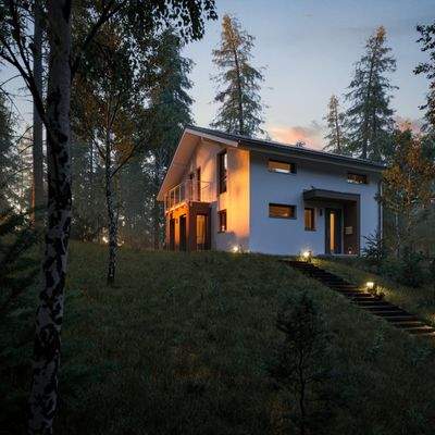  BienZenker Evolution  Cam Abend  A