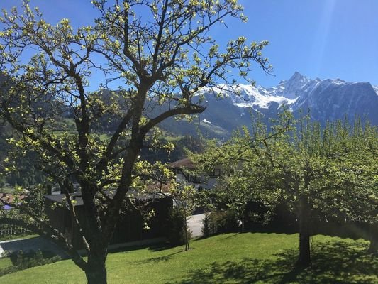 Bild 18