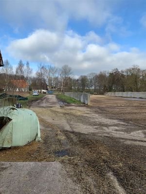 IMG_7578