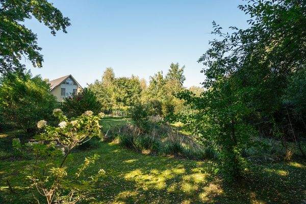 Blick Richtung Nachbargrundstück